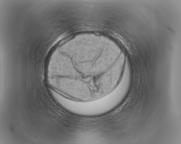 X0000115151165200912081341