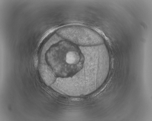 X0000115151167200912081340