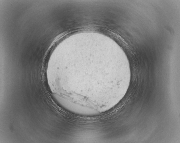 X0000115151168200912081340