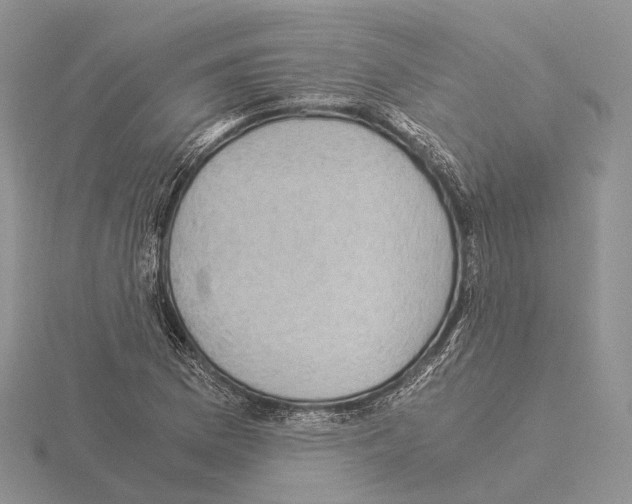 X0000115151169200912081340