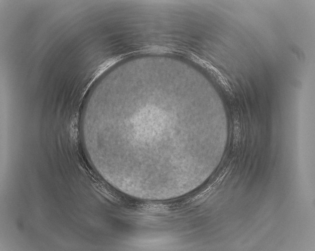 X0000115151170200912081340