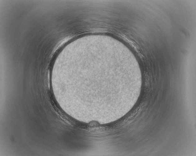 X0000115151171200912081340