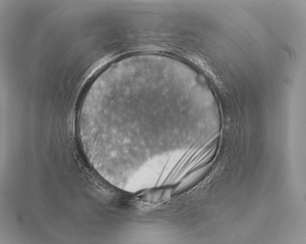 X0000115151173200912081340