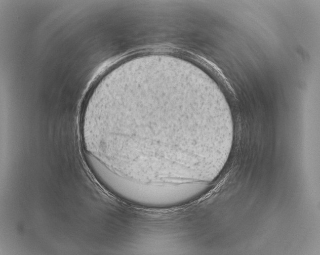 X0000115151176200912081340