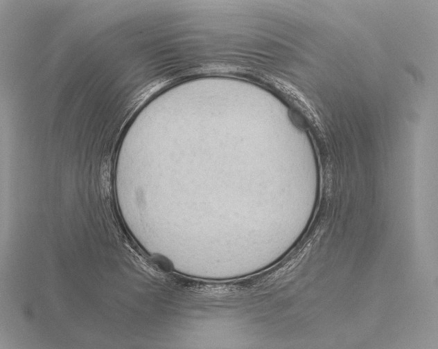 X0000115151177200912081340