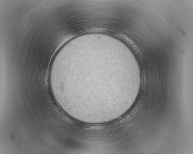 X0000115151178200912081340