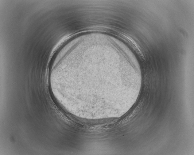 X0000115151180200912081340