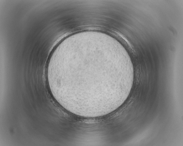 X0000115151182200912081340