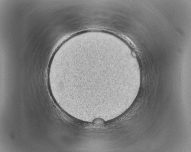 X0000115151183200912081340