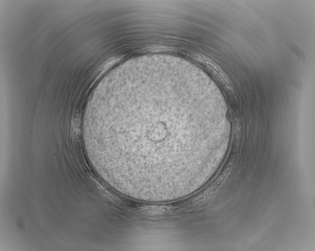 X0000115151185200912081340