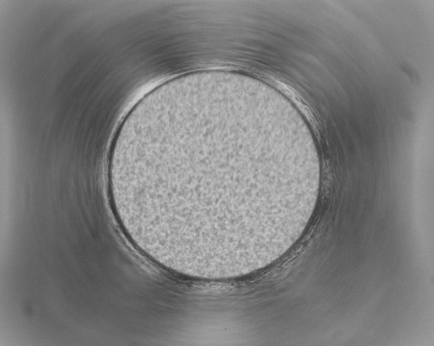 X0000115151187200912081340