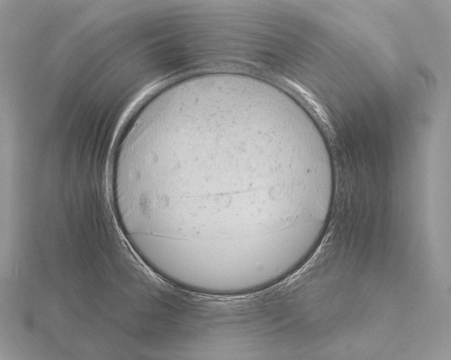 X0000115151188200912081340