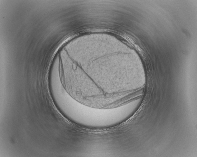 X0000115151189200912081340