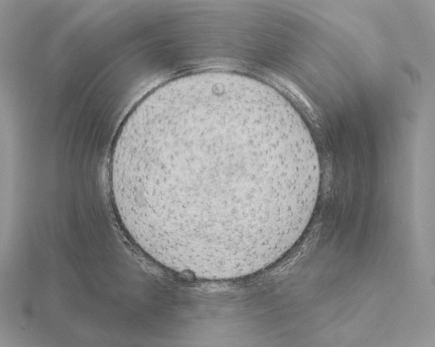 X0000115151190200912081340