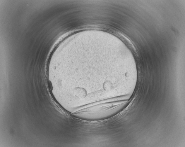 X0000115151192200912081340