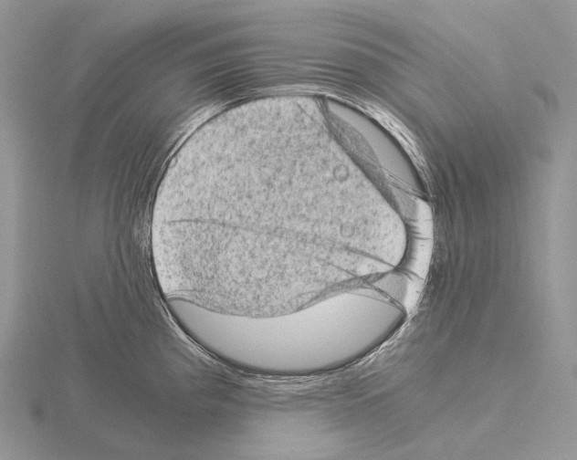 X0000115151193200912081340