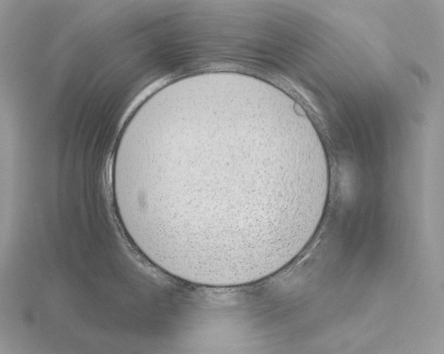 X0000115151198200912081340