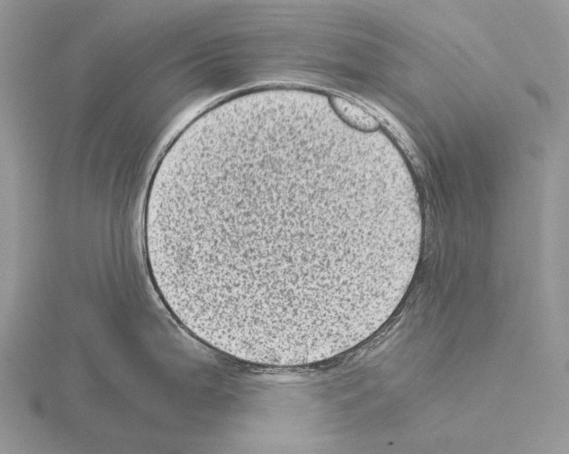 X0000115151199200912081340