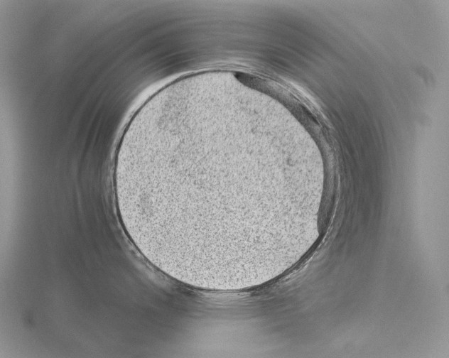 X0000115151200200912081340