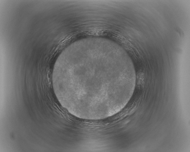 X0000115151202200912081339