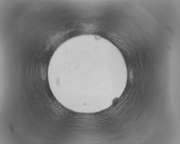 X0000115151204200912081339