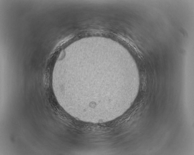 X0000115151207200912081340