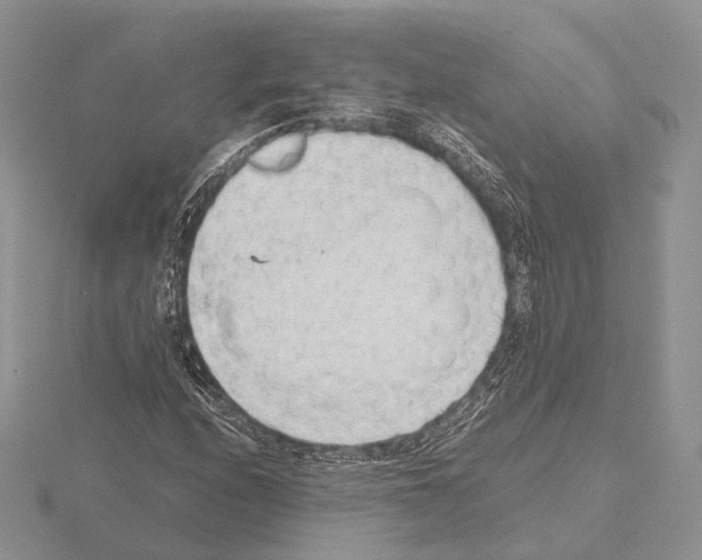 X0000115151208200912081340