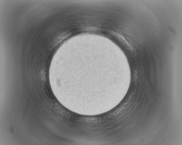 X0000115151209200912081340