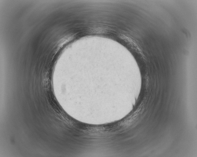 X0000115151210200912081340