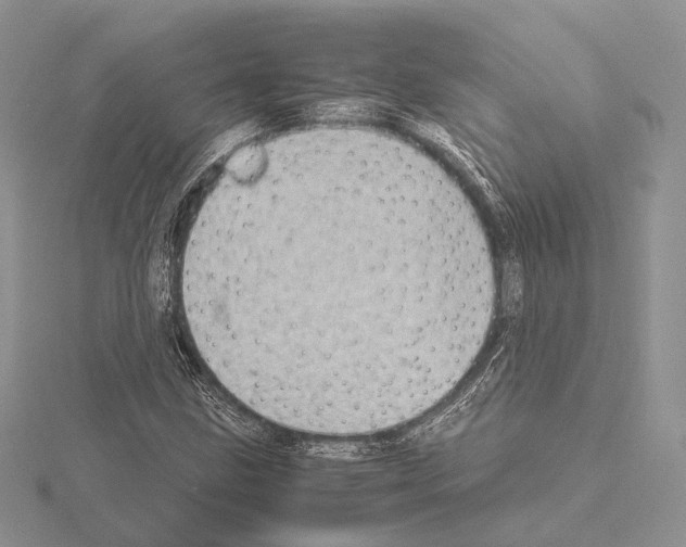 X0000115151211200912081340