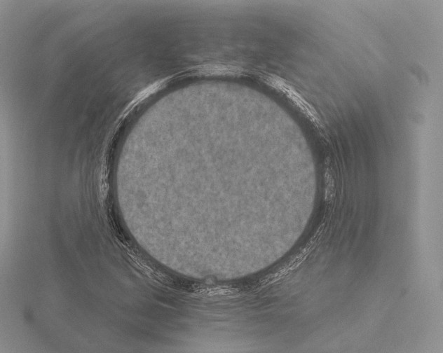 X0000115151213200912081340