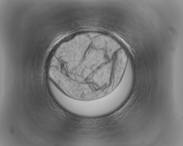 X0000115151215200912081340