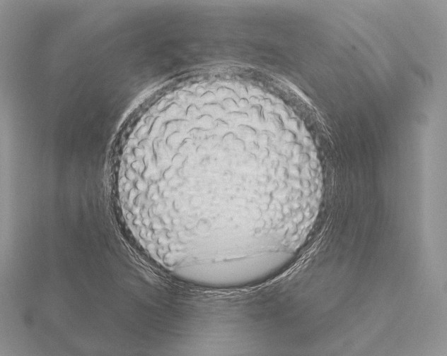 X0000115151216200912081340