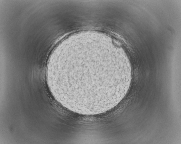 X0000115151220200912081340