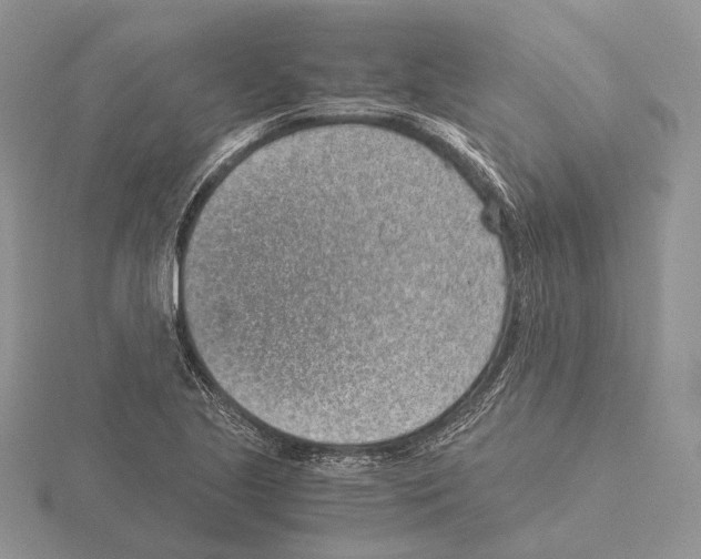 X0000115151221200912081340