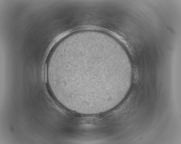 X0000115151223200912081340