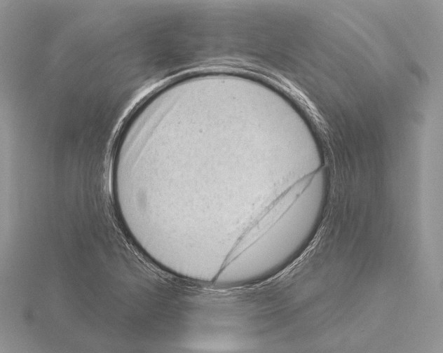 X0000115151224200912081340