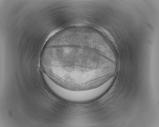 X0000115151226200912081340