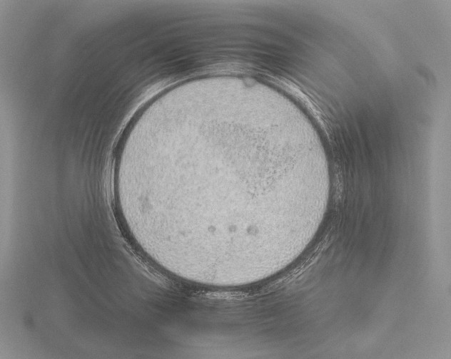 X0000115151227200912081340