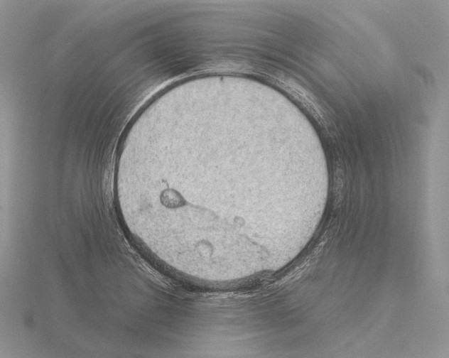 X0000115151228200912081340