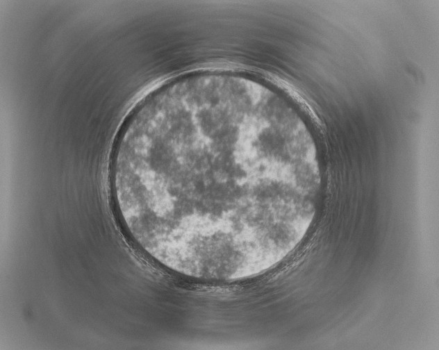 X0000115151229200912081340