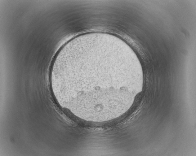 X0000115151230200912081340