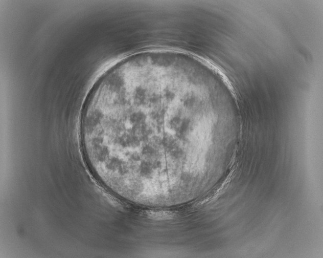 X0000115151231200912081340