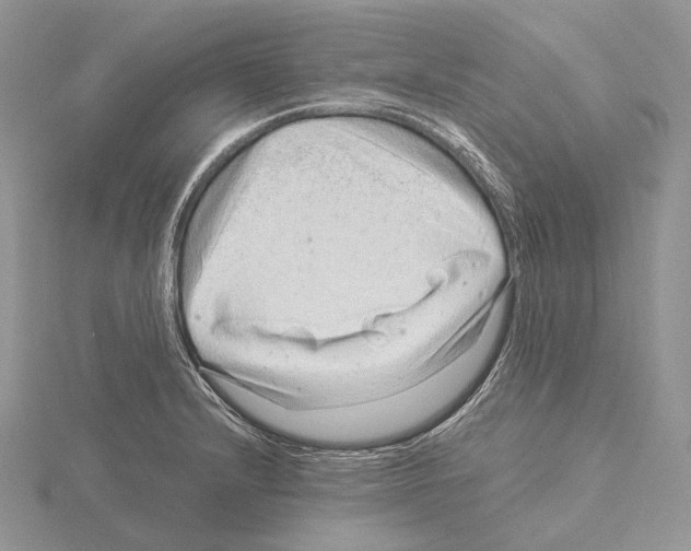 X0000115151232200912081340