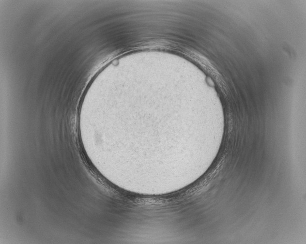 X0000115151234200912081340