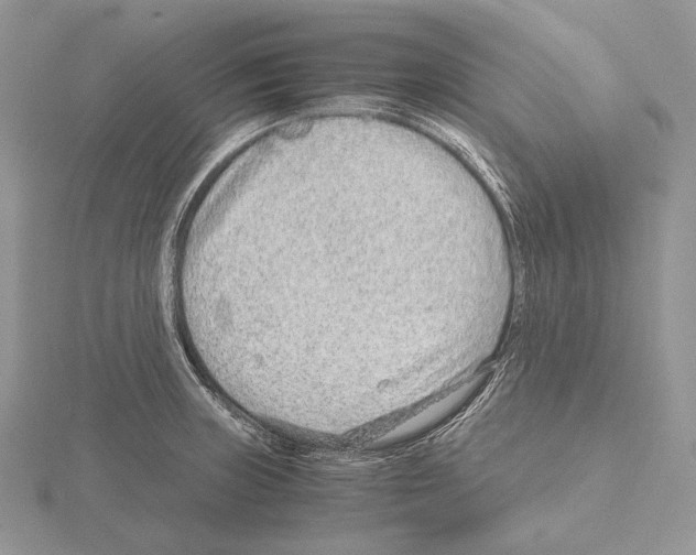 X0000115151235200912081340