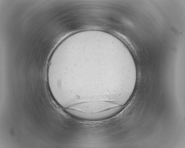 X0000115151236200912081340