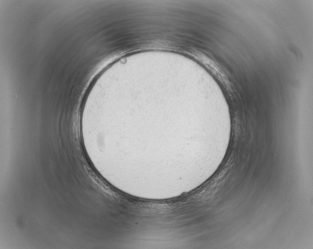 X0000115151238200912081340