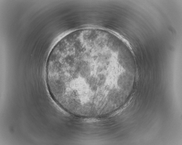 X0000115151239200912081340