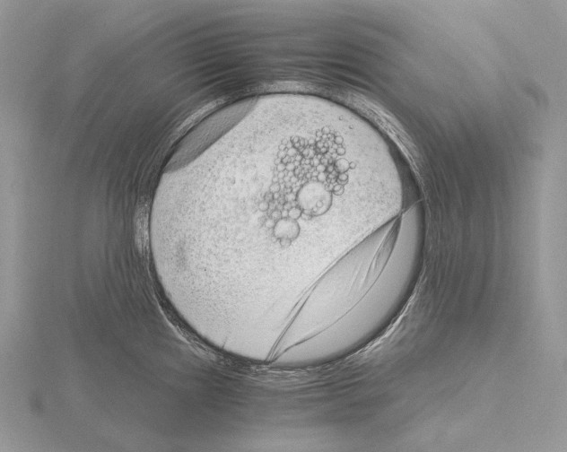 X0000115151241200912081340